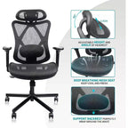 Sedia da Ufficio Ergonomica Nera in Rete con Supporto Lombare e Braccioli Regolabili, 1 Persona